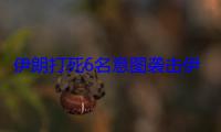 伊朗打死6名意图袭击伊关键设施的武装人员